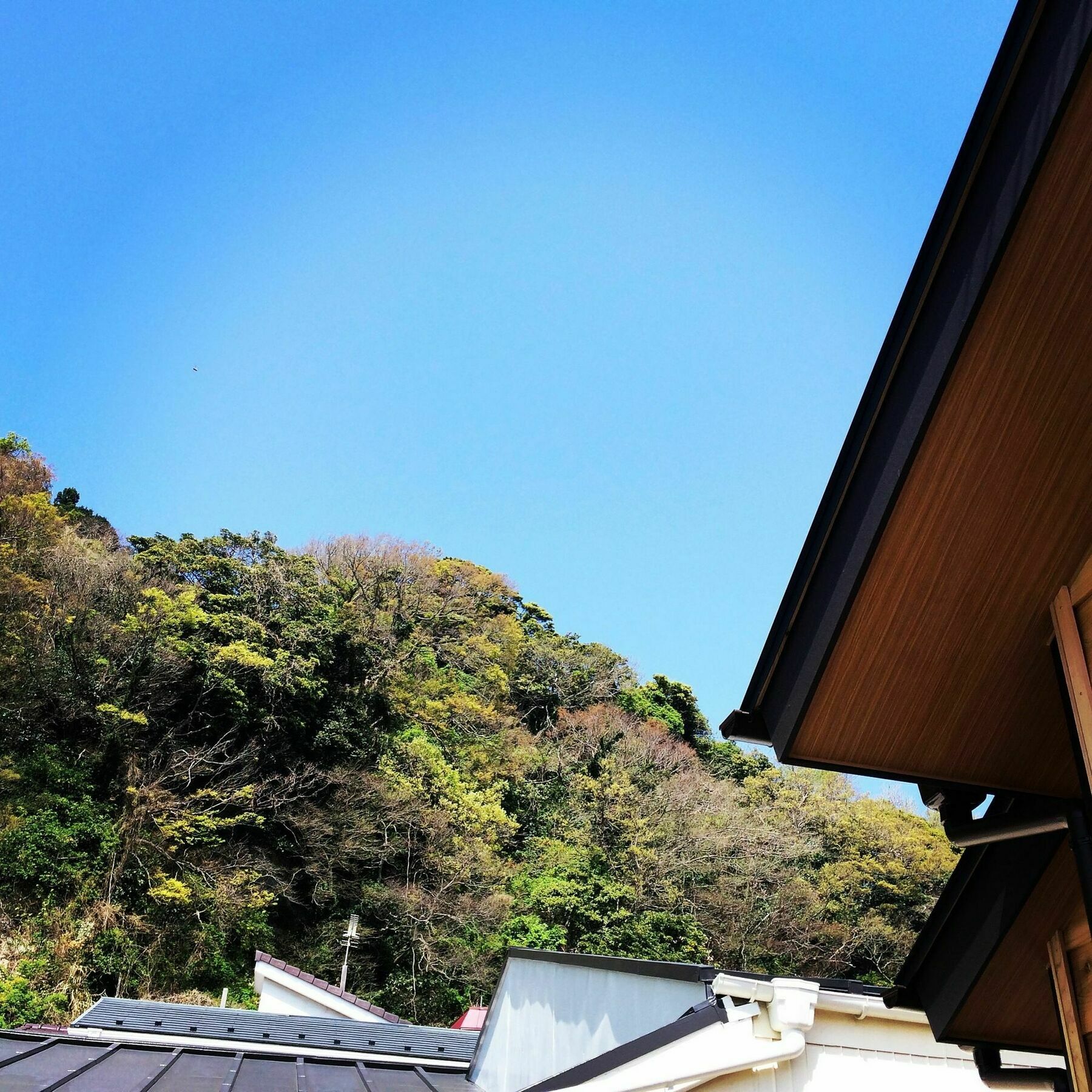 Guest House Kamakura Zen-Ji Buitenkant foto