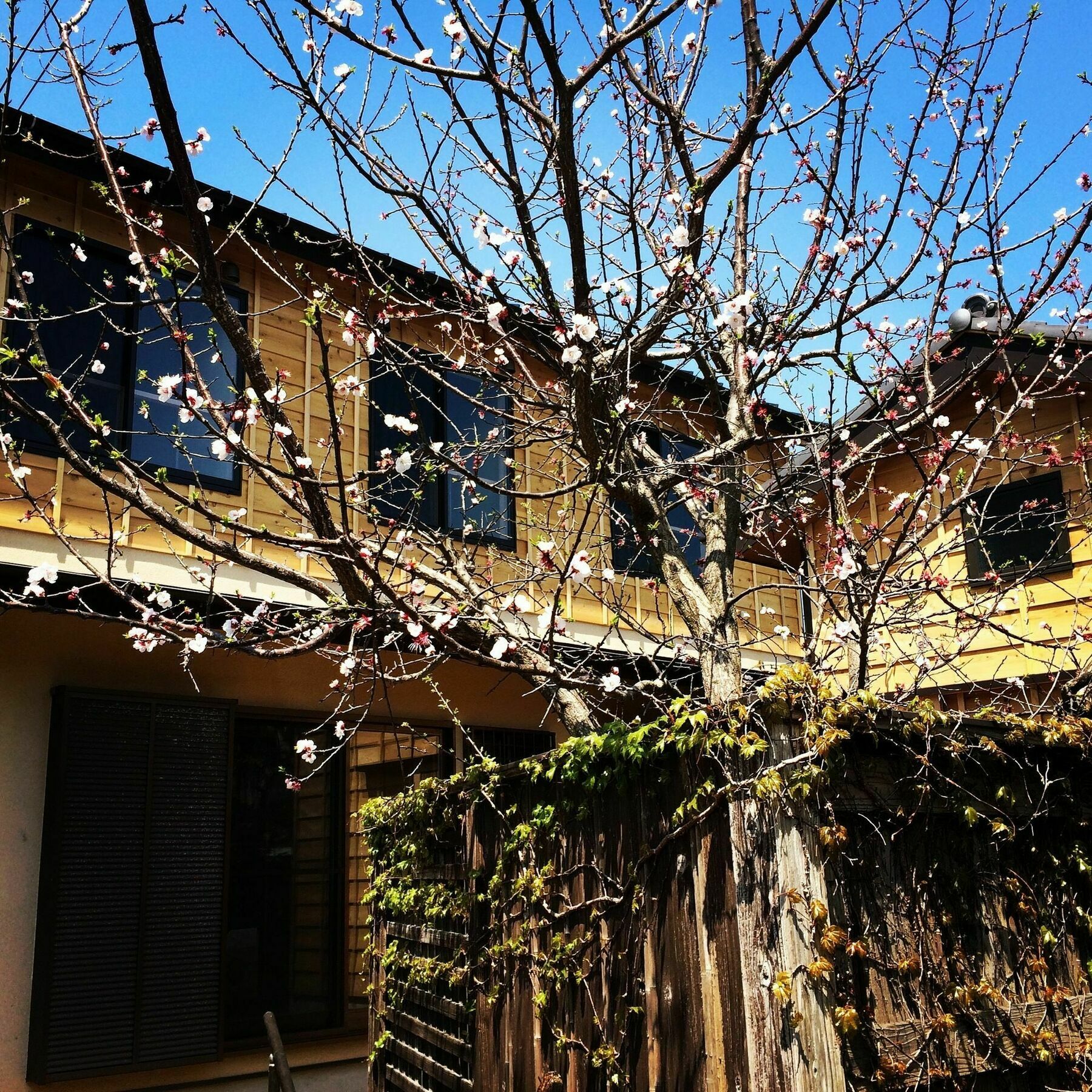 Guest House Kamakura Zen-Ji Buitenkant foto